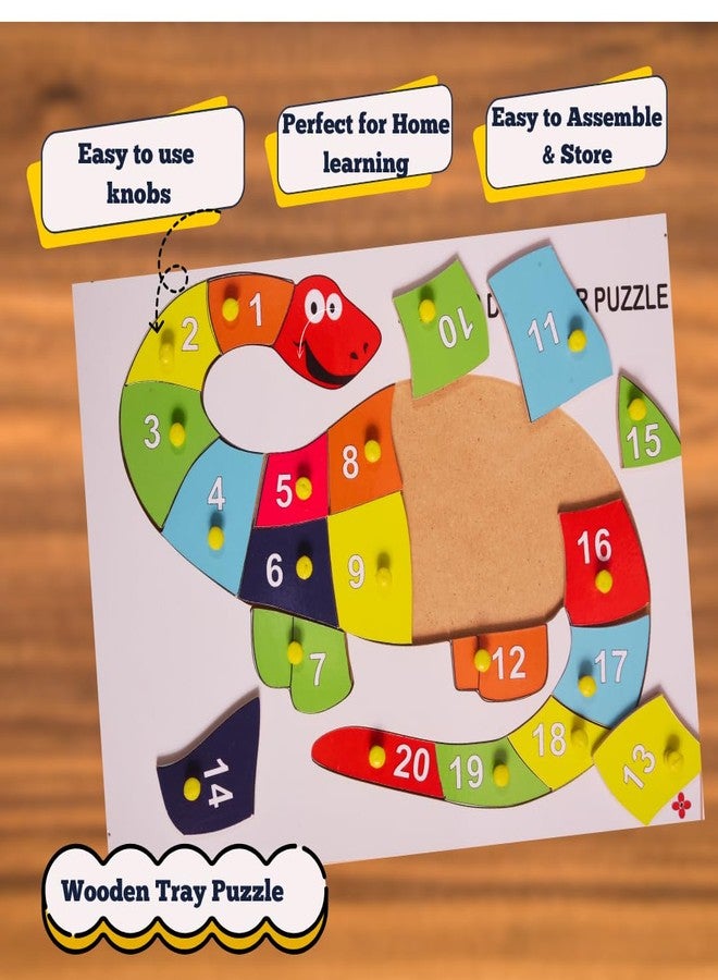 Toyjos Dinosaur Shape Wooden Board with Numbers Knob Puzzle | 1 to 20 Counting Numbers Preschool Learning Game | Kids Educational Pegged Puzzle Board Toys Birthday Gifts for Boys, Girls (Ages 2+) - Image 3